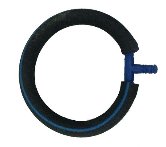 17953019_1937021003186618_8980116122020165265_n