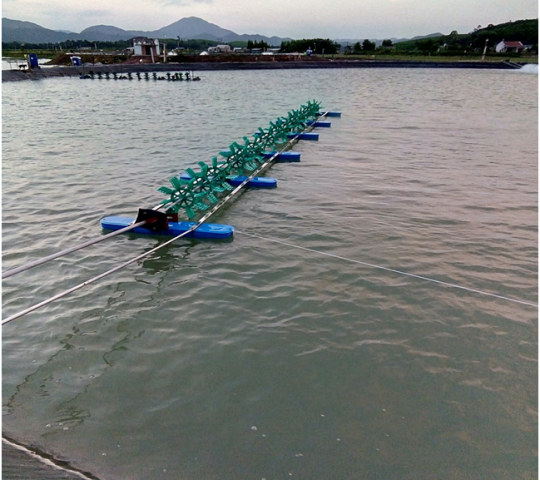 phao d&Atilde;&nbsp;i